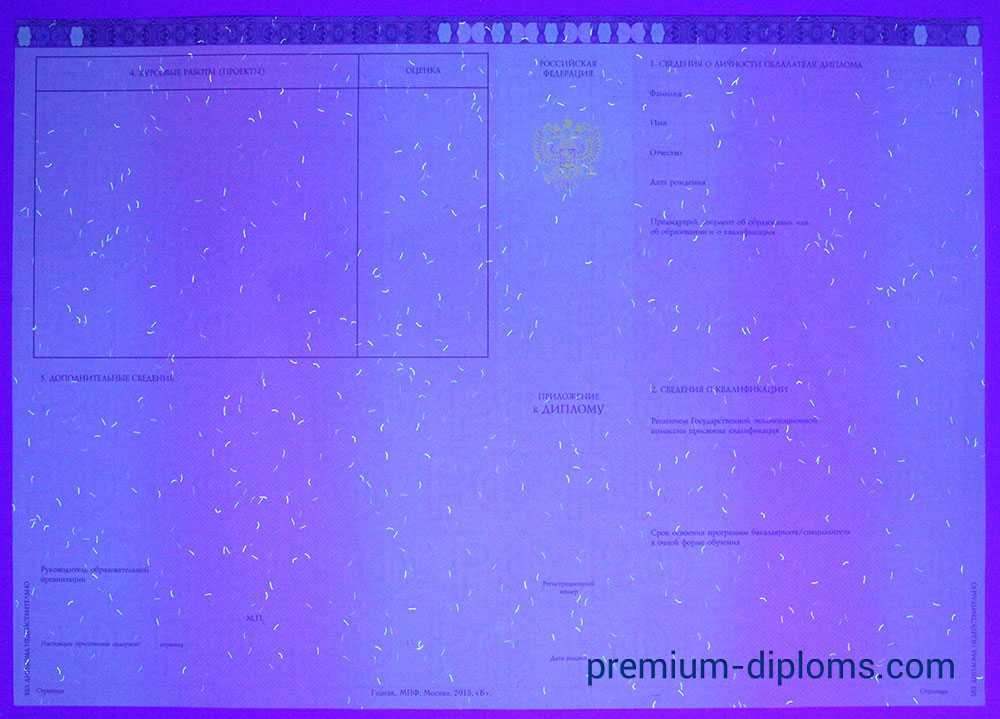 диплом бакалавра 2014-2020 год